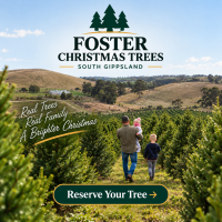 Foster Christmas Tree Farm